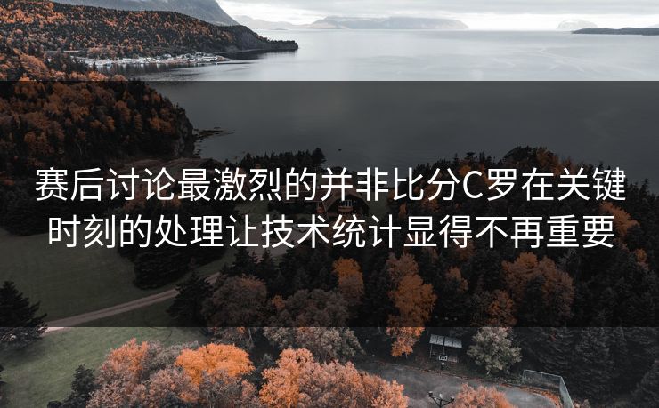 赛后讨论最激烈的并非比分C罗在关键时刻的处理让技术统计显得不再重要